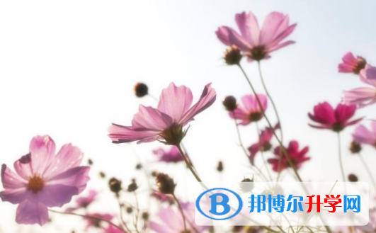 綿陽2021年中考網(wǎng)上報名系統(tǒng)