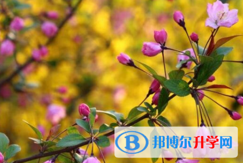 綿陽2021年中考線是好多