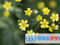 綿陽2021年中考志愿官網(wǎng)