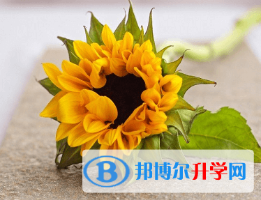 綿陽(yáng)2021年中考重點(diǎn)線