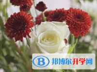 綿陽2021年中考重點線錄取