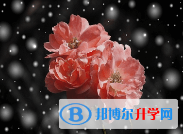 綿陽2021年中考重點線是多少