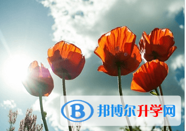 綿陽2021年中考重點線預測