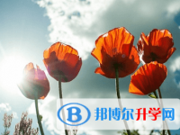 綿陽2021年中考重點線預測