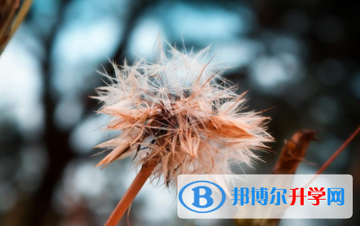綿陽2021年歷年中考錄取線