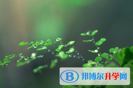 綿陽2021年中考報名服務平臺