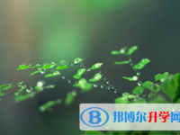綿陽2021年中考報名服務平臺