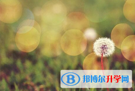 綿陽(yáng)2022年中考報(bào)名網(wǎng)址
