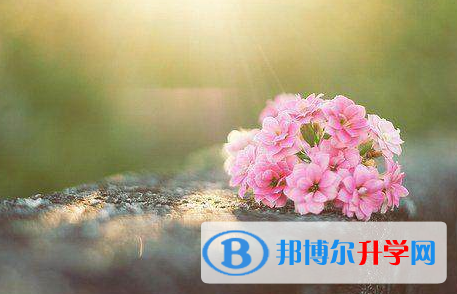 綿陽2022年中考報名系統網址