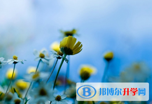 綿陽(yáng)2022年怎么填中考志愿