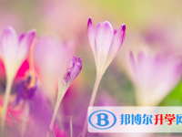 綿陽2022年中考模擬填報(bào)志愿