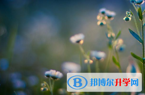 綿陽2022年中考怎么填志愿才可以上到好的學校