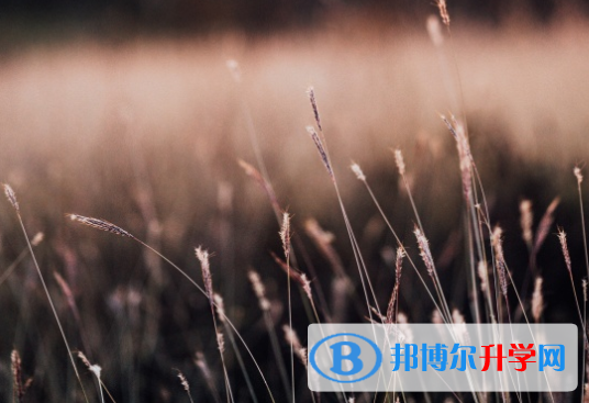 綿陽2022年中考志愿填報技巧