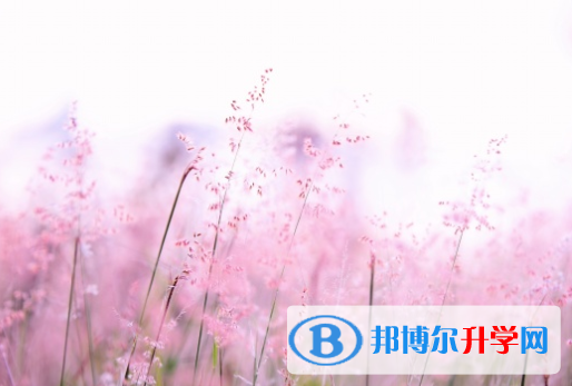 綿陽(yáng)2022年中考志愿填報(bào)網(wǎng)址