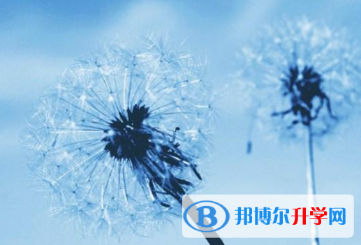 廣元2022年網上查詢中考成績