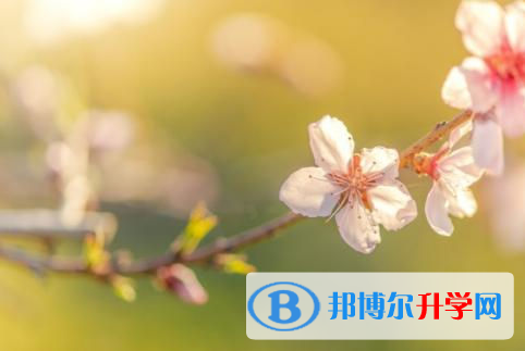 廣元2022年怎樣從網上查詢中考成績