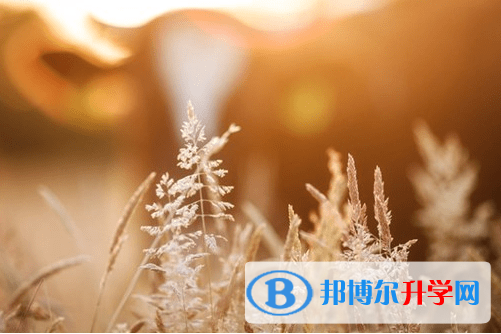 廣元2022年中考成績一般讀什么學校