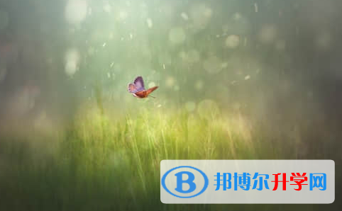 廣元2022年中考看成績(jī)是在哪個(gè)網(wǎng)站