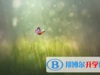 廣元2022年中考看成績是在哪個網站