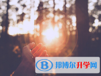廣元2022年各個學校中考錄取線