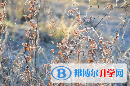 廣元2022年如何填中考學(xué)校