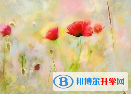 廣元2022年中考必考題