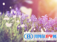 廣元2022年中考查詢系統的密碼記不到了怎么辦
