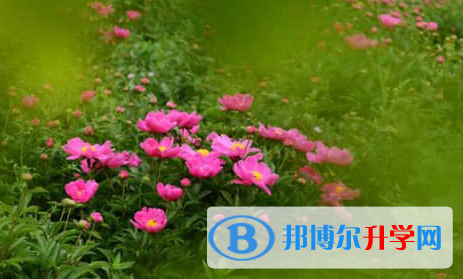 廣元2022年中考成績(jī)出來(lái)了嗎