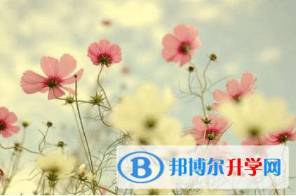 廣元2022年中考成績何時(shí)出來