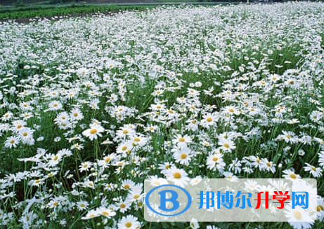 廣元2022年中考成績(jī)?cè)鯓硬樵? width=