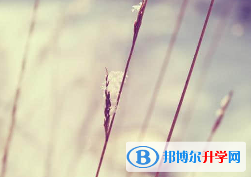 廣元2022年中考成績(jī)重點(diǎn)線