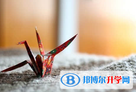 廣元2022年中考服務平臺
