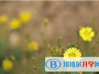 廣元2022年中考規則