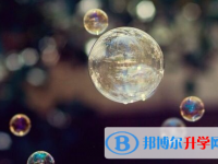 廣元2022年中考錄取報名網