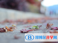 廣元2022年中考錄取規劃線