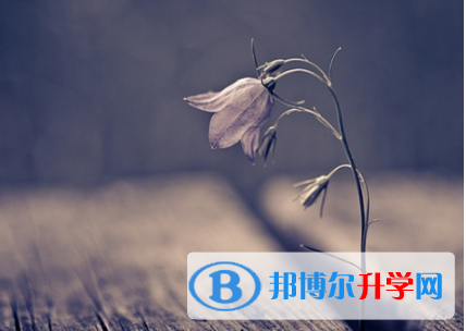 廣元2022年中考錄取結果查詢