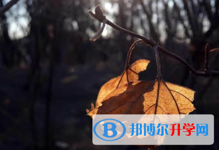 廣元2022年中考升學錄取比例
