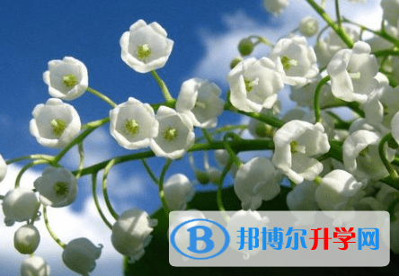廣元2022年中考生落榜后可不可以選擇復讀