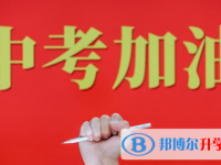 廣元2022年中考統考成績
