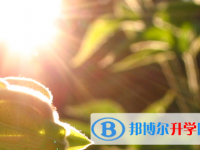 廣元2022年中考網登錄