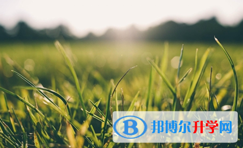 廣元2022年中考網絡應用平臺