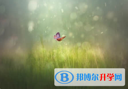 廣元2022年中考網(wǎng)上報名模擬