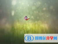 廣元2022年中考網上報名模擬