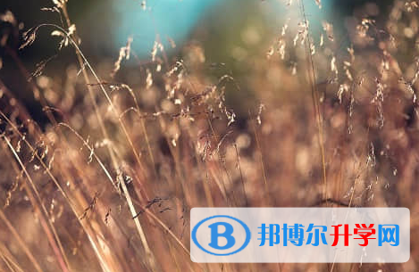 廣元2022年中考網(wǎng)上報(bào)名系統(tǒng)