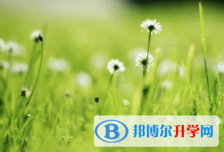 廣元2022年中考信息服務(wù)平臺(tái)