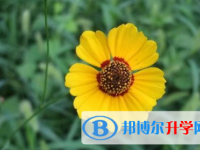 廣元2022年中考藝體時間