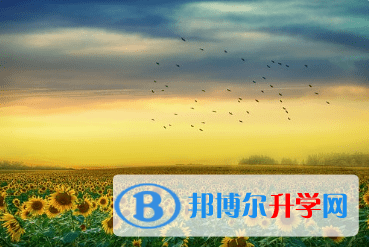 廣元2022年中考預估重點線