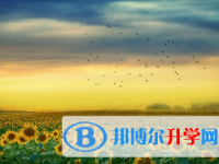 廣元2022年中考預(yù)估重點線