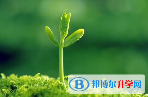 廣元2022年中考招生考試查詢系統