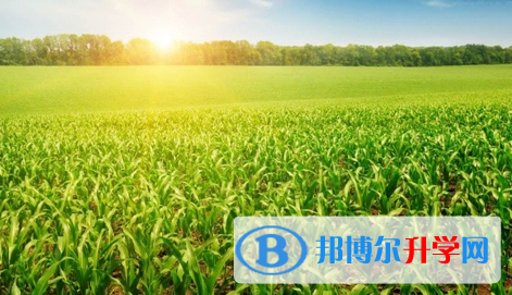 廣元2022年中考志愿官網